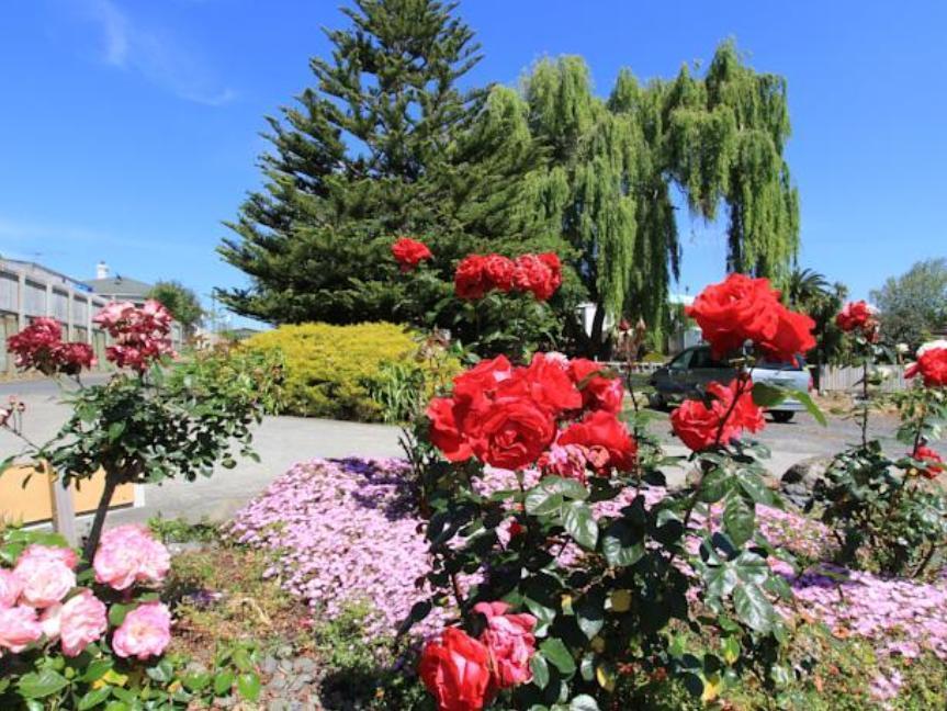 Waiuku Motel ภายนอก รูปภาพ