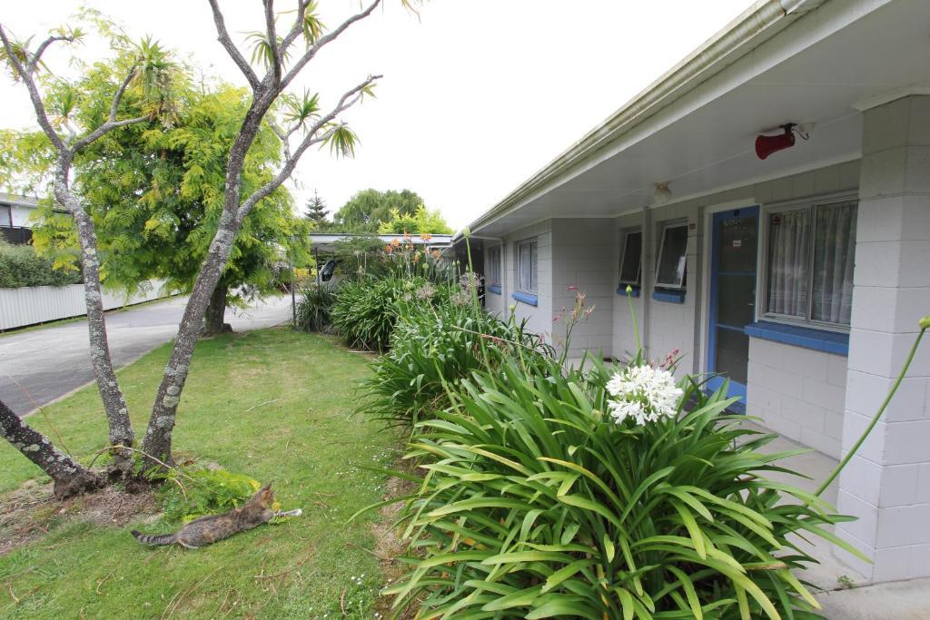Waiuku Motel ภายนอก รูปภาพ